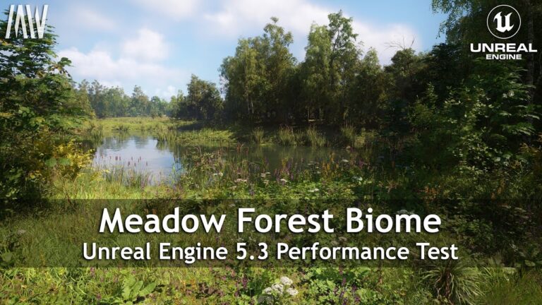 meadow forest