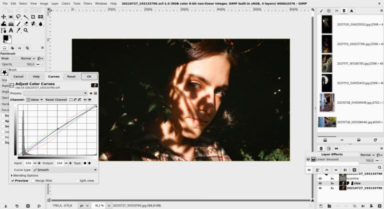 GIMP 3.0 Oberfläche der freien Bildbearbeitung