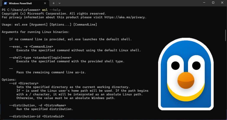 Windows Subsystem for Linux Open Source