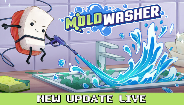 Moldwasher