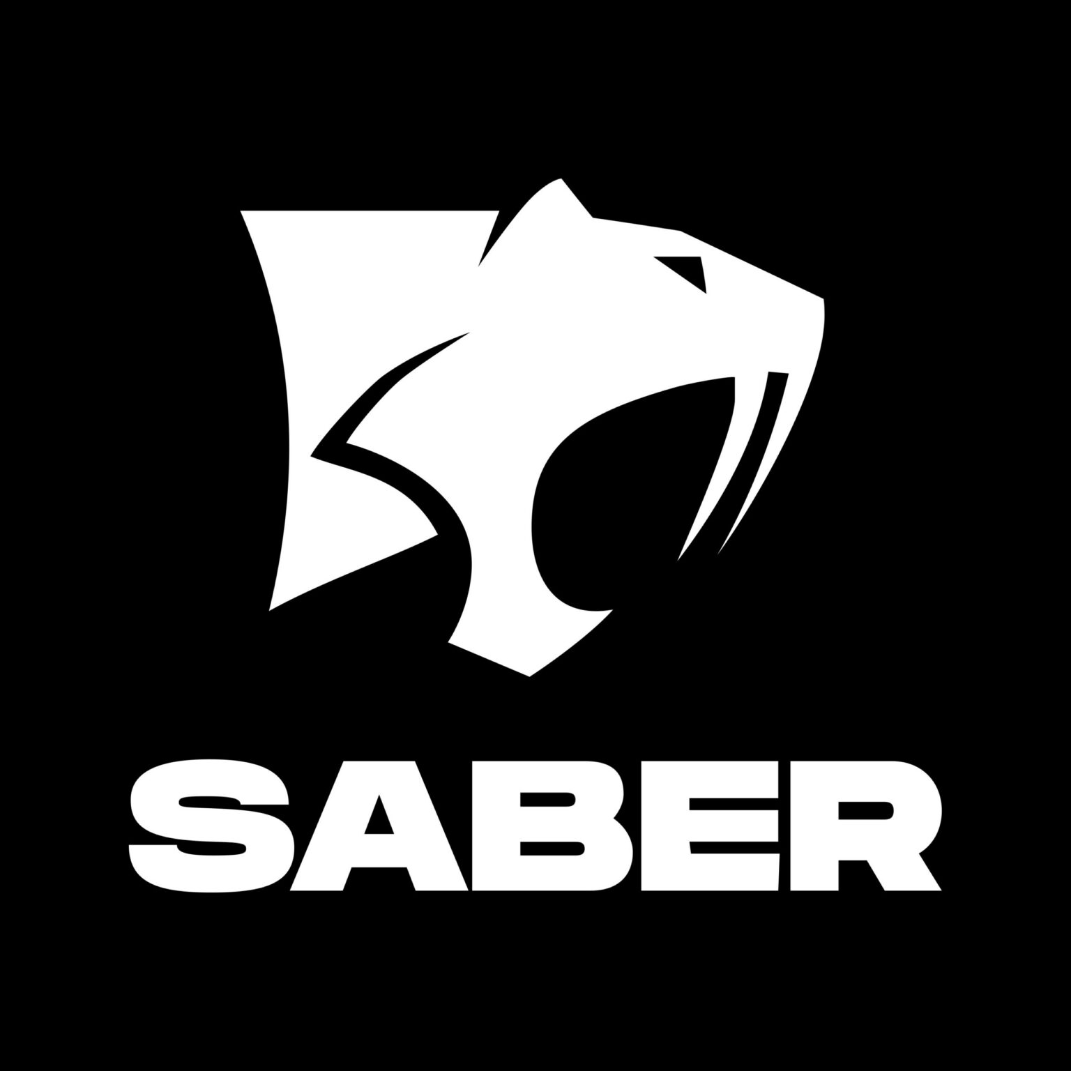 Logo von Saber Interactive - Bild: Saber Interactive