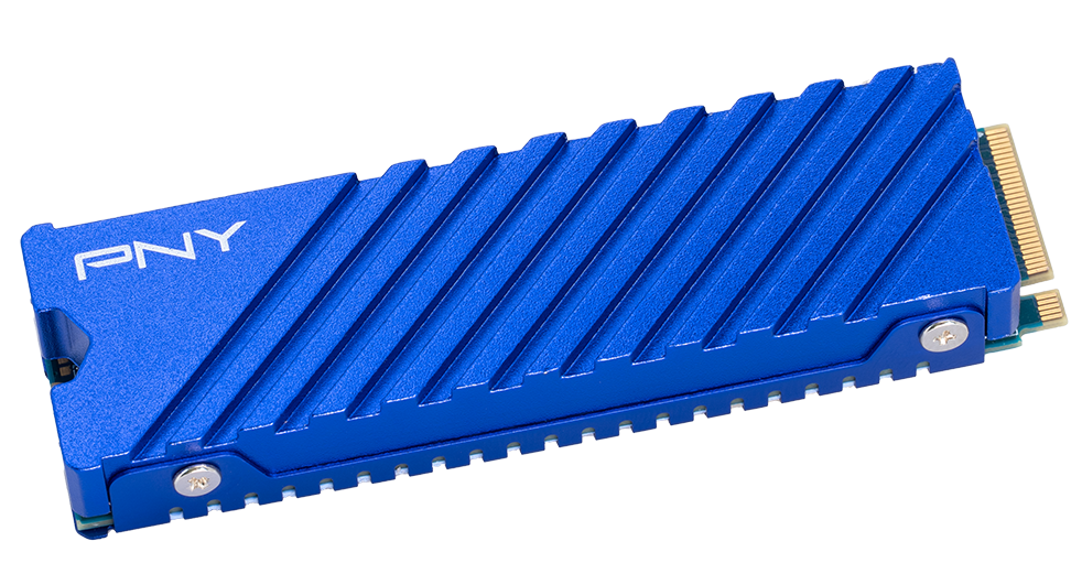PNY CS2341 M.2-NVMe-SSD mit blauem Kühlkörper - Bild: PNY Technologies