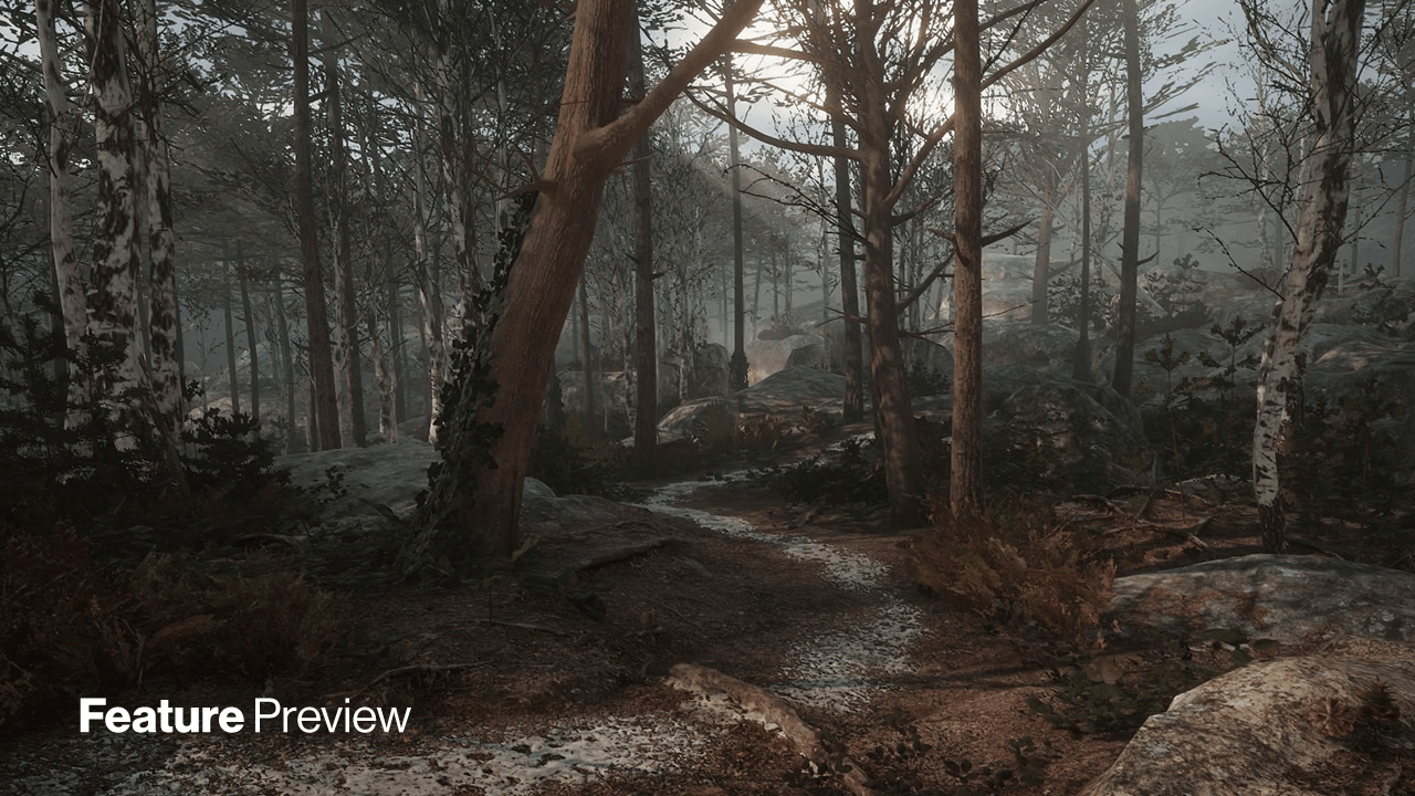Unity Feature Preview im Wald der Fountainbleau-Demo