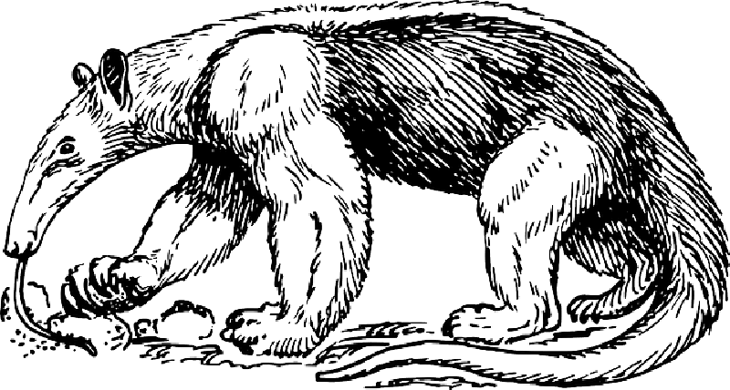 Anteater-Projektlogo für CI/CD-Sicherheitsprüfungen - Bild: Anteater-Projekt auf GitHub