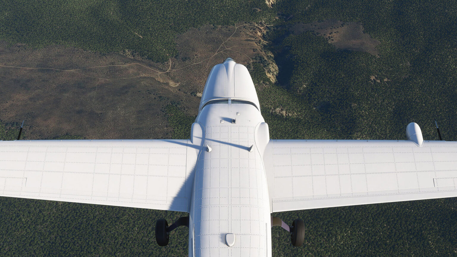 Alpha-Screenshot mit Flugzeug über bewaldetem Gelände - Bild: Microsoft / SkintFrmine4112