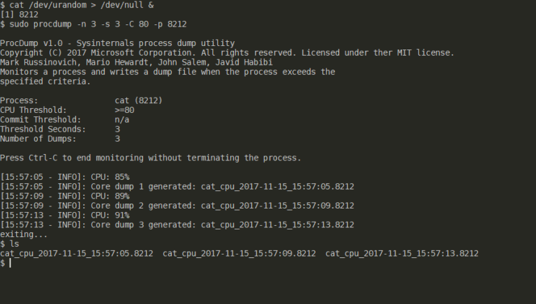 Unverändertes Standbild bei Sekunde 20 aus Microsofts ProcDump-für-Linux-Terminalanimation im ersten Implementierungs-Commit von 2017 - Bild: Microsoft