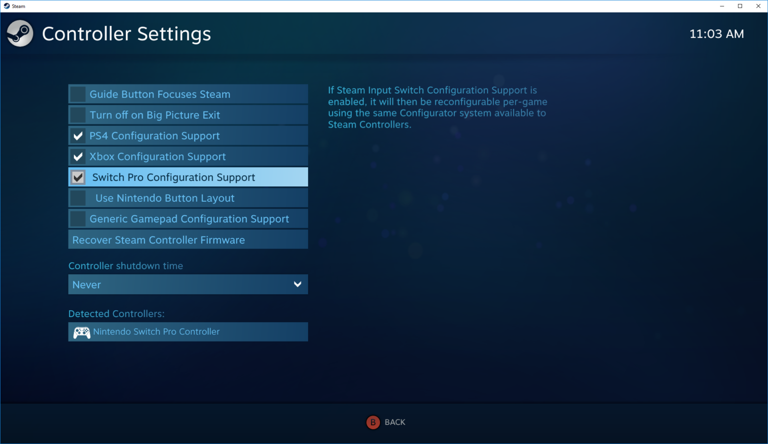 Steam-Controller-Einstellungen vom Mai 2018 mit aktivierter Switch-Pro-Konfiguration - Bild: Valve