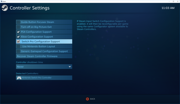 Steam-Controller-Einstellungen vom Mai 2018 mit aktivierter Switch-Pro-Konfiguration - Bild: Valve