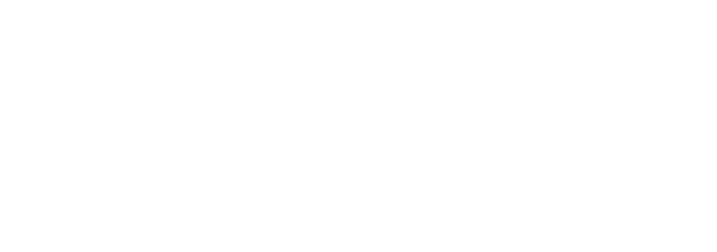 Offizielles 505-Games-Logo, Symbolbild - Bild: 505 Games