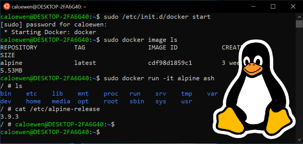 Microsoft kündigt WSL 2 mit echtem Linux-Kernel an - Bild: Microsoft